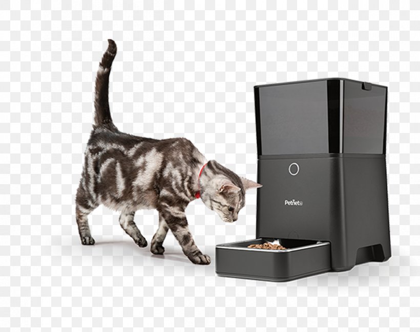 Dog Cat Food Pet Eating, PNG, 1260x998px, Dog, Box, Cat, Cat Food, Cat Like Mammal Download Free