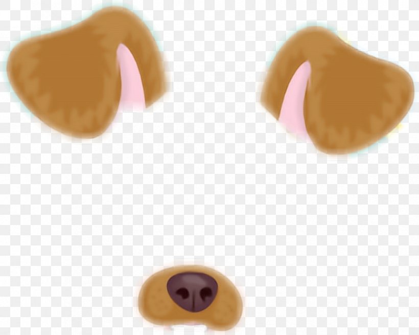 Dog Paddle Animal Doge Snapchat, PNG, 836x668px, Dog, Animal, Bun, Dog Paddle, Doge Download Free