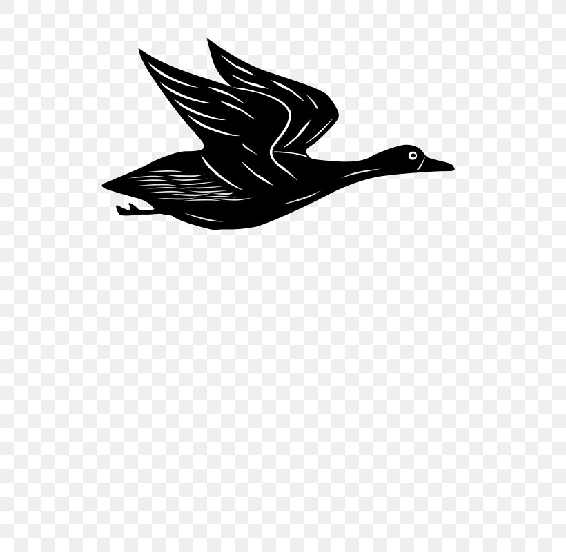 Goose Duck Drawing Clip Art, PNG, 566x800px, Goose, Beak, Bird, Black And White, Drawing Download Free