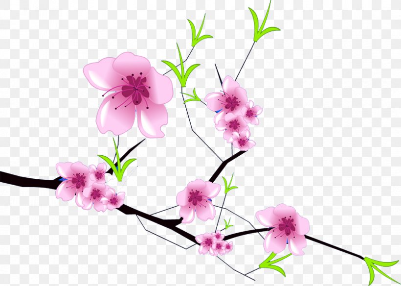 Plum Blossom, PNG, 835x595px, Plum Blossom, Blossom, Branch, Cherry Blossom, Flora Download Free