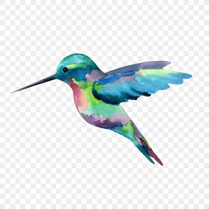 Hummingbird Watercolor Painting, PNG, 5000x5000px, Hummingbird, Art, Artist, Beak, Bird Download Free