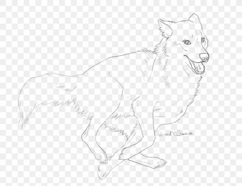 Line Art Drawing Red Fox Dog Sketch, PNG, 900x692px, Line Art, Animal, Artwork, Black And White, Canidae Download Free