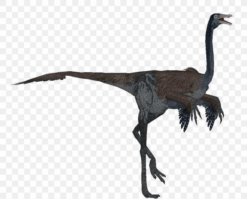 Velociraptor Bird Beak Ratite Feather, PNG, 1048x846px, Velociraptor, Beak, Bird, Crane, Crane Like Bird Download Free
