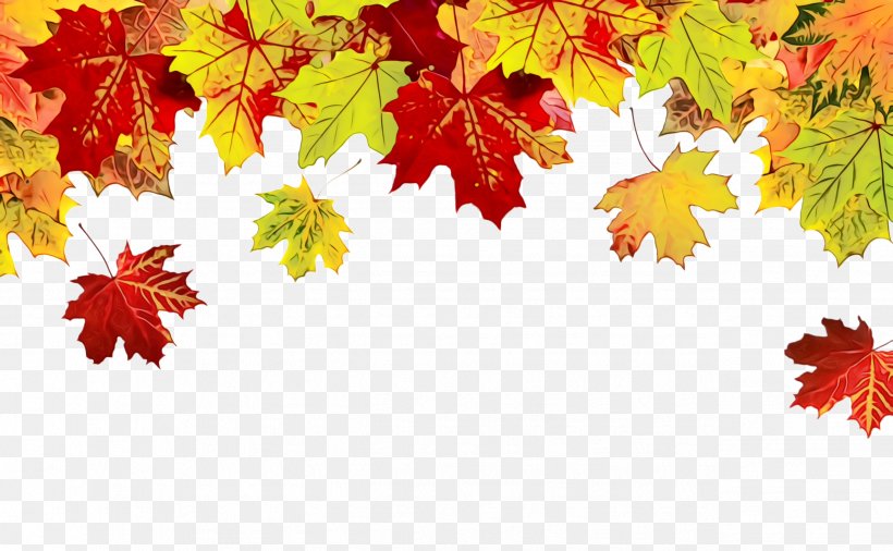 Maple Leaf, PNG, 2544x1572px, Watercolor, Autumn, Black Maple, Deciduous, Leaf Download Free