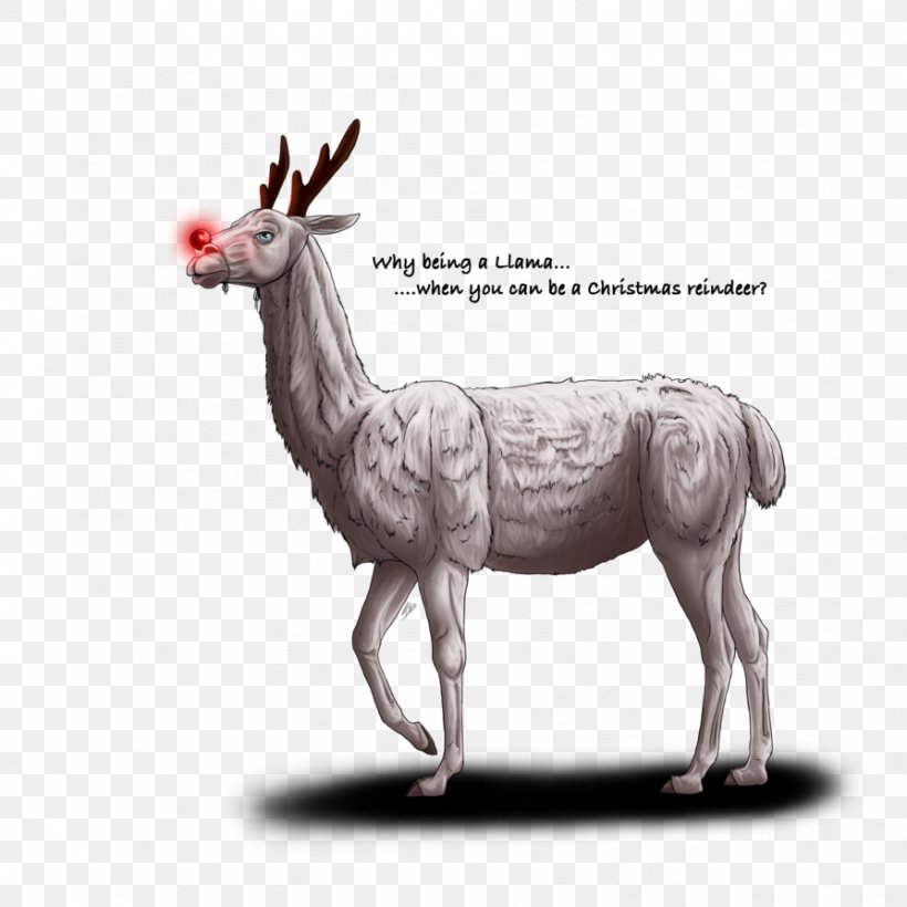 Reindeer Elk Antler Fauna Wildlife, PNG, 894x894px, Reindeer, Animal, Antler, Deer, Elk Download Free