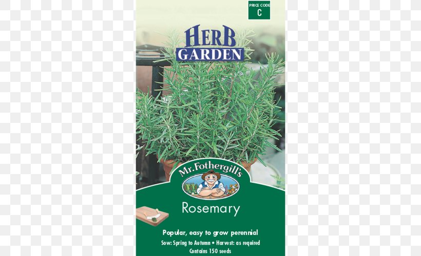 Rosemary Herb Coriander Seed Thyme, PNG, 500x500px, Rosemary, Chives, Common Sage, Coriander, Culantro Download Free