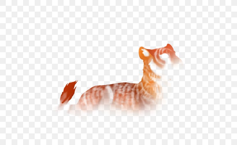 Whiskers Kitten Tabby Cat Paw, PNG, 640x500px, Whiskers, Carnivoran, Cat, Cat Like Mammal, Kitten Download Free
