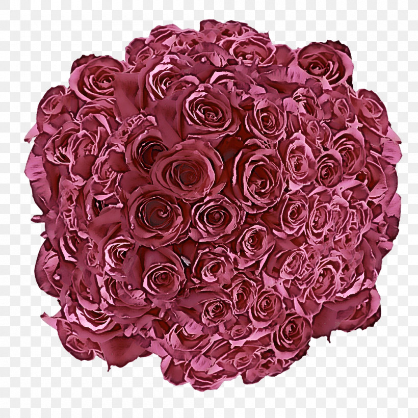 Floral Design, PNG, 1000x1000px, Floral Design, Cabbage Rose, Cut Flowers, Family, Flower Download Free