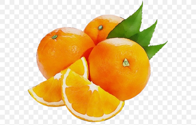 Orange, PNG, 600x523px, Watercolor, Citrus, Clementine, Food, Fruit Download Free