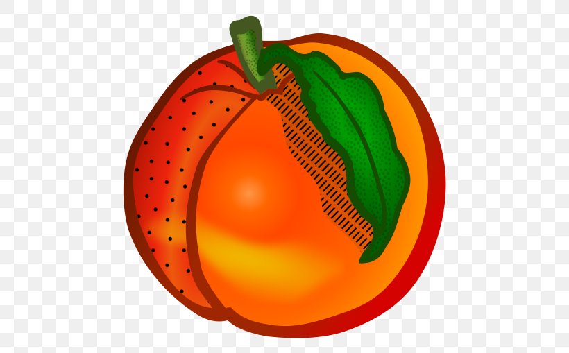 Peach Fruit Clip Art, PNG, 509x509px, Peach, Apple, Auglis, Calabaza, Cucurbita Download Free