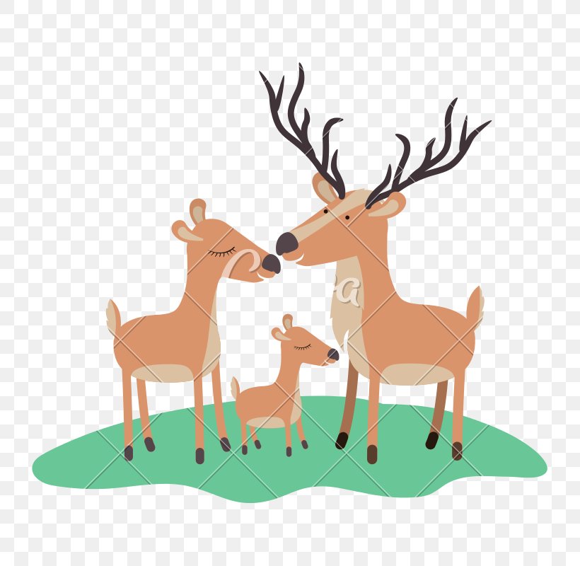 Cartoon Grass, PNG, 800x800px, Deer, Animal Figure, Cartoon, Fawn, Grass Download Free