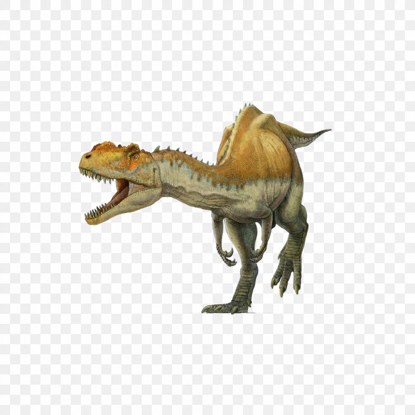 Yangchuanosaurus Tyrannosaurus Spinosaurus Metriacanthosaurus Oxfordian, PNG, 1024x1024px, Yangchuanosaurus, Allosaurus, Carnivore, Cretaceous, Dinosaur Download Free