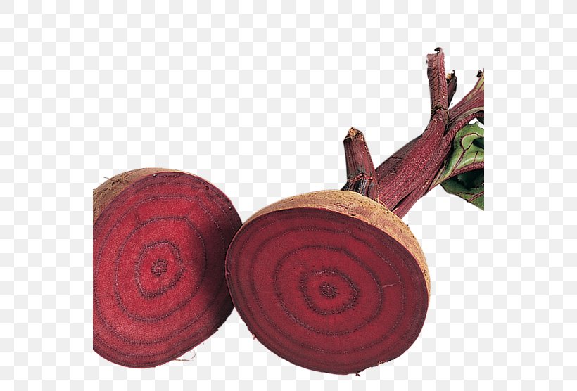 BBC Gardeners' World Wood Beetroot Sowing, PNG, 556x556px, Wood, Beetroot, Com, Gardening, Harvest Download Free
