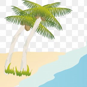 Coconut Tree On The Beach, PNG, 1181x1181px, Photography, Clip Art ...