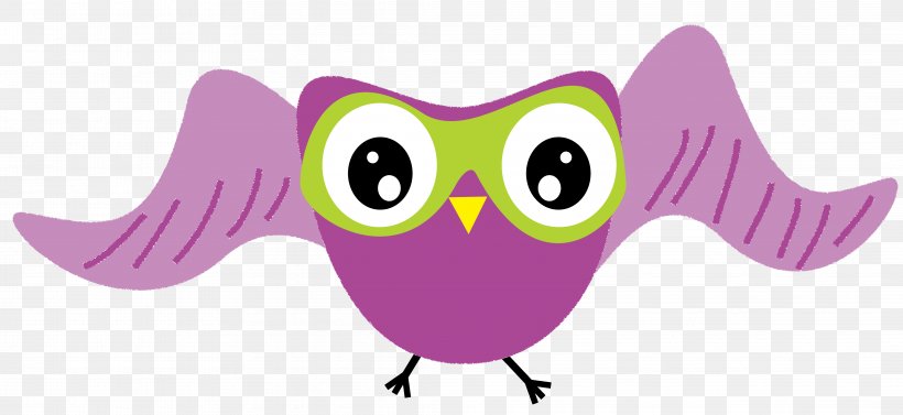 Owl TeachersPayTeachers Homeschooling Clip Art, PNG, 4244x1956px, Owl, Beak, Bird, Bird Of Prey, Blackboard Download Free