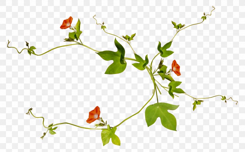Clip Art Vector Graphics Image Transparency, PNG, 2800x1742px, Stock Photography, Botany, Branch, Drawing, Flower Download Free