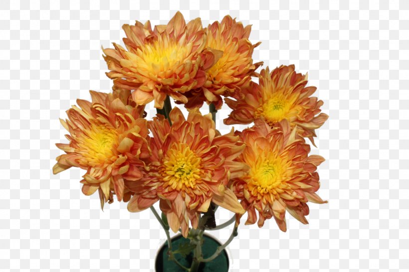 Cut Flowers Chrysanthemum Anthurium Andraeanum Plant, PNG, 1024x683px, Flower, Anthurium Andraeanum, Artificial Flower, Chrysanthemum, Chrysanths Download Free