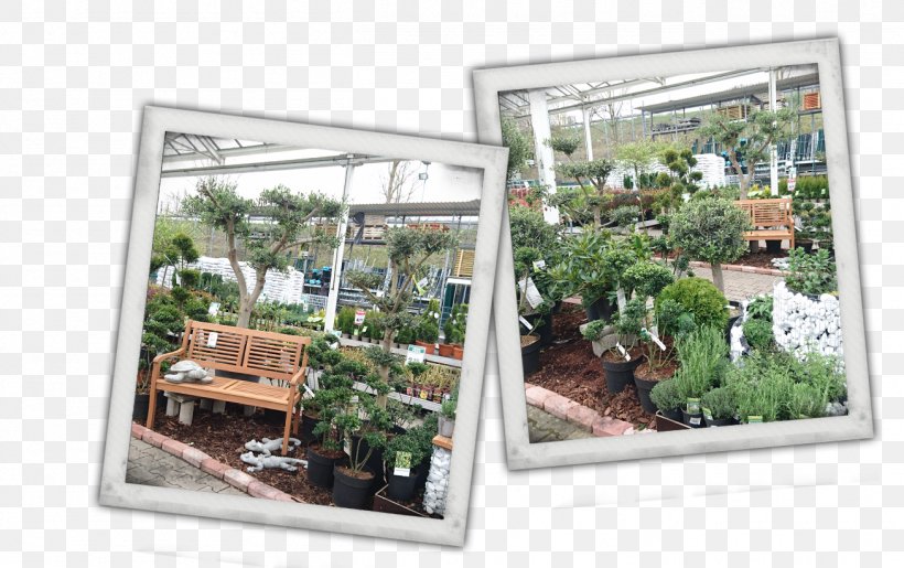 Bauking Hagebaumarkt DIY Store Houseplant, PNG, 1307x821px, Hagebau, Countertop, Diy Store, Houseplant, Plant Download Free