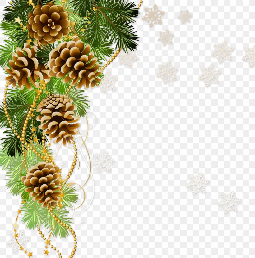 Photography Royalty-free Clip Art, PNG, 1000x1014px, Photography, Branch, Christmas, Christmas Decoration, Christmas Ornament Download Free