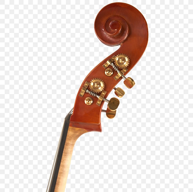 Violone Double Bass Cello Violin Musical Instruments, PNG, 500x816px, Violone, Bass Guitar, Bowed String Instrument, Cello, Double Bass Download Free
