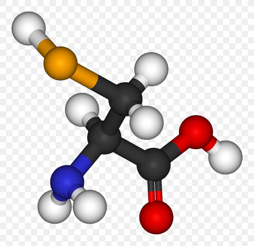 Essential Amino Acid Dicarboxylic Acid Diprotic Acid, PNG, 1100x1067px, Amino Acid, Acid, Adipic Acid, Biochemistry, Body Jewelry Download Free