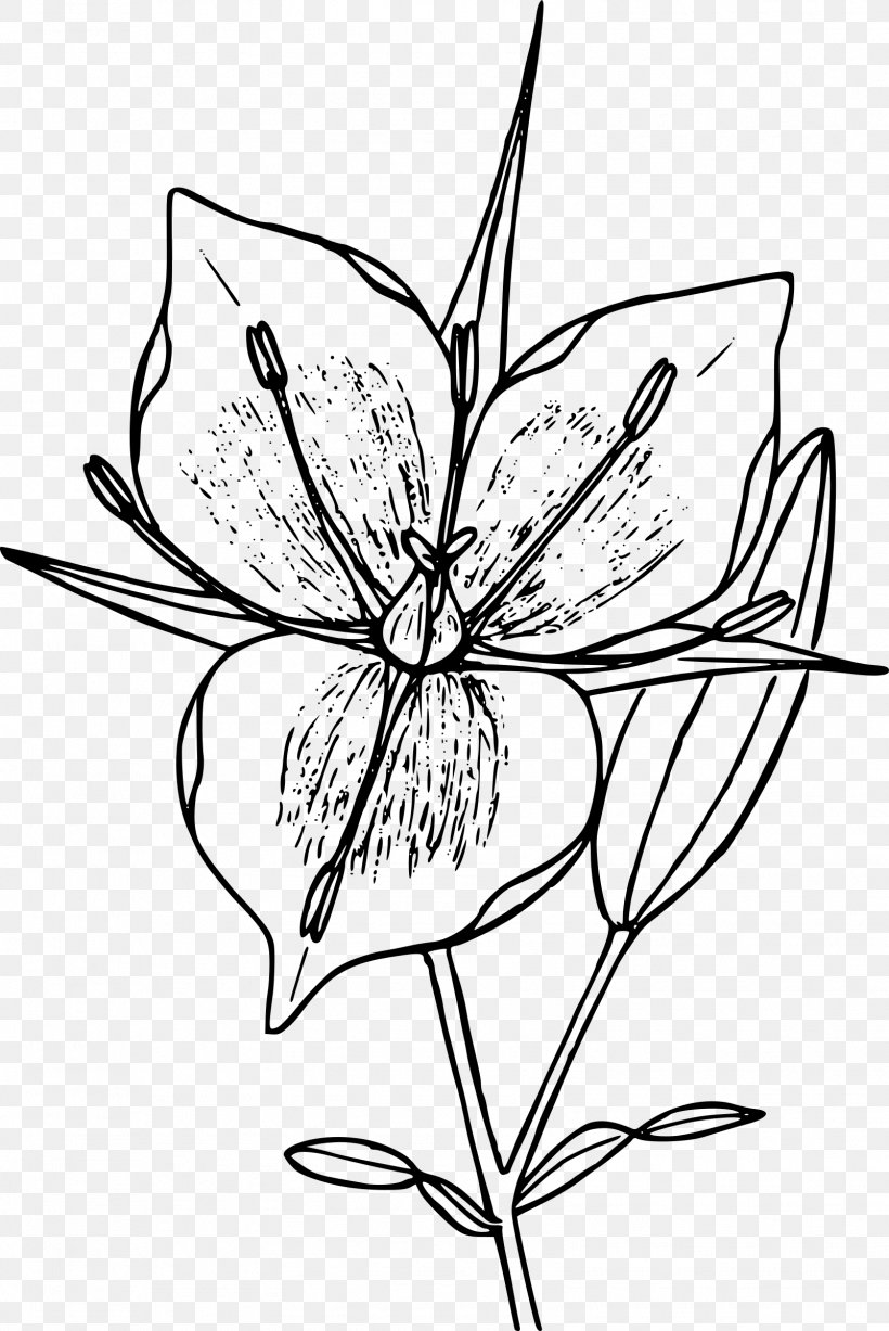 Floral Design Line Art Clip Art, PNG, 1603x2400px, Watercolor, Cartoon, Flower, Frame, Heart Download Free