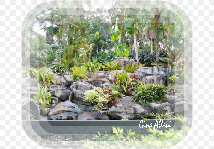 Gardening Houseplant Greenhouse Epiphyte, PNG, 658x571px, Garden, Bromelia, Bromeliads, Epiphyte, Flowerpot Download Free