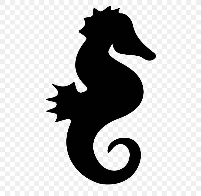 Seahorse T-shirt Silhouette Clip Art, PNG, 800x800px, Seahorse, Animal, Black And White, Cartoon, Color Download Free