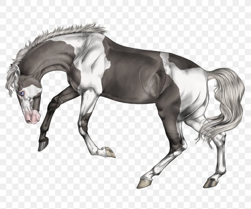 Mane Stallion Mustang Halter Mare, PNG, 900x750px, Mane, Bit, Black And White, Bridle, Colt Download Free