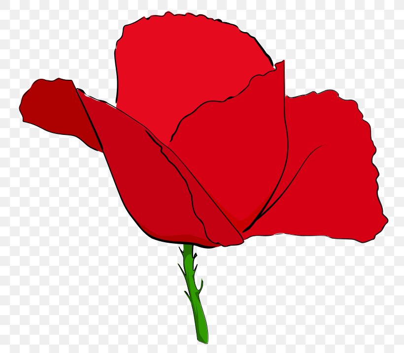 Remembrance Poppy Common Poppy Opium Poppy Clip Art, PNG, 800x717px, Poppy, Armistice Day, Blood Swept Lands And Seas Of Red, Common Poppy, Coquelicot Download Free