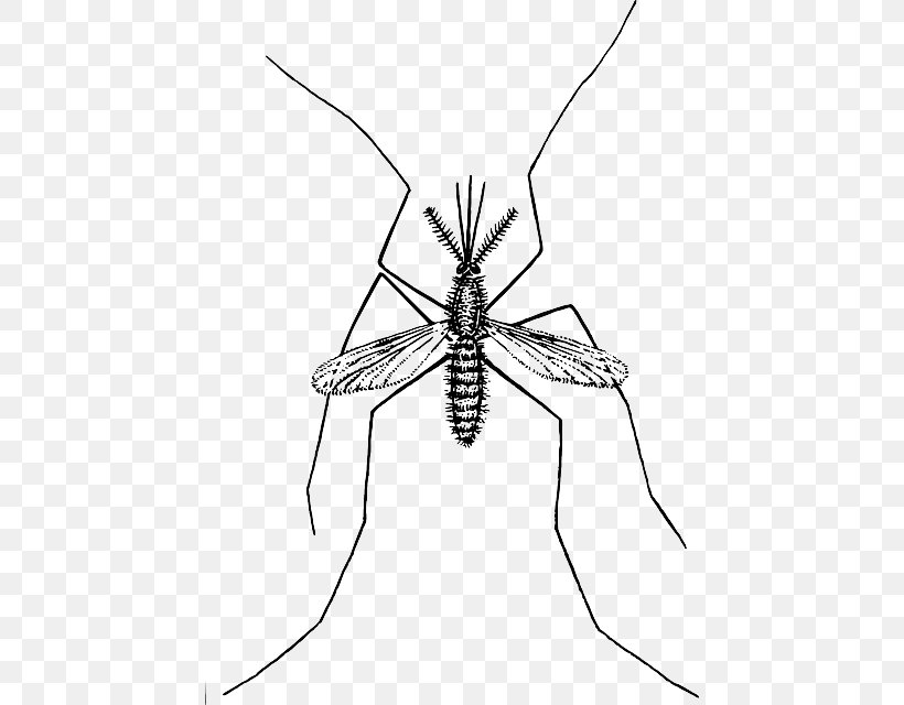 Marsh Mosquitoes Clip Art, PNG, 448x640px, Marsh Mosquitoes, Arthropod, Artwork, Black And White, Fly Download Free