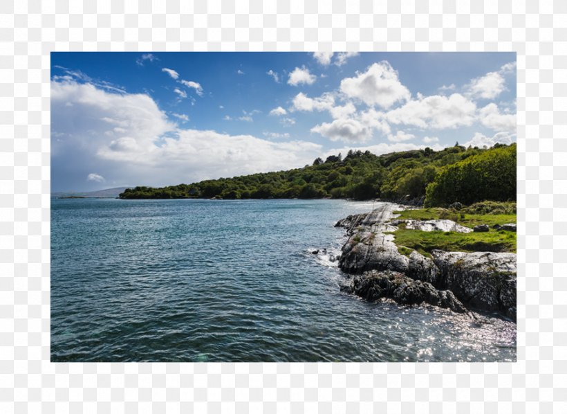 Fjord Cove Coast Inlet Headland, PNG, 900x657px, Fjord, Bay, Cape, Cape May, Coast Download Free