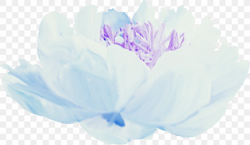 Petal Blue Flower Floral Design, PNG, 1587x924px, Petal, Blog, Blue, Floral Design, Flower Download Free