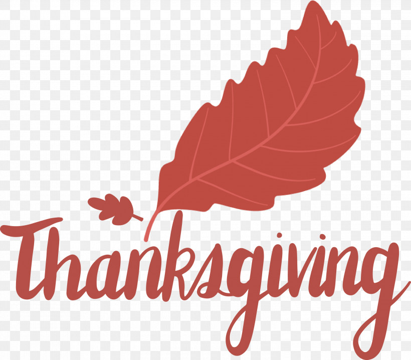 Thanksgiving, PNG, 3000x2629px, Thanksgiving, Biology, Leaf, Logo, M Download Free