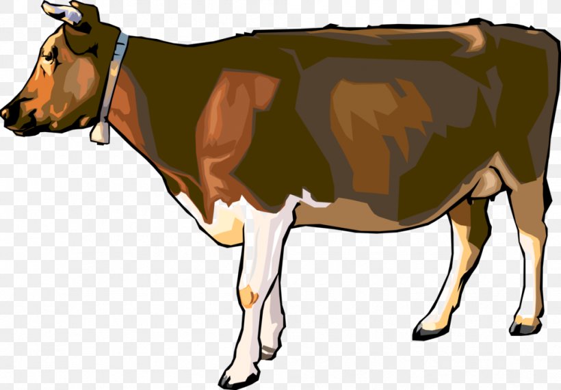 Brown Swiss Cattle Holstein Friesian Cattle Dairy Cattle Clip Art Calf, PNG, 1006x700px, Brown Swiss Cattle, Bull, Calf, Cattle, Cattle Like Mammal Download Free