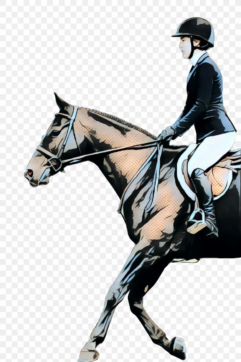 Hunt Seat Stallion Rein Mustang Halter, PNG, 1000x1500px, Hunt Seat, Animal Sports, Art, Bit, Bridle Download Free