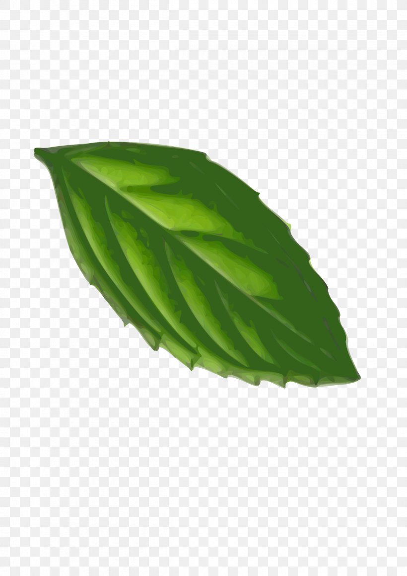 Peppermint Leaf Clip Art, PNG, 2400x3394px, Peppermint, Herb, Leaf, Mint, Plant Download Free