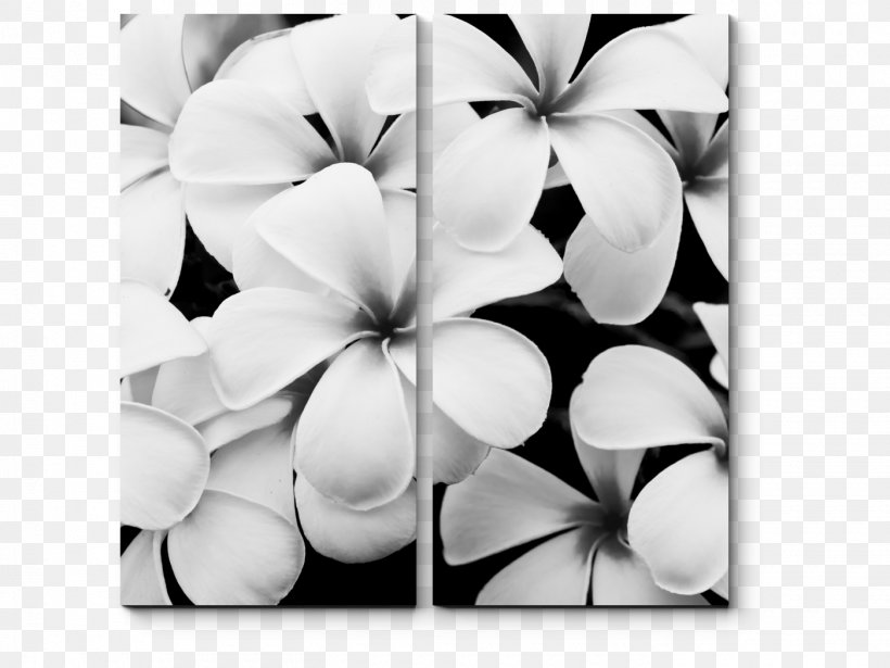 Stock Photography Black And White Flower, PNG, 1400x1050px, Stock Photography, Black And White, Digital Photography, Drawing, Flora Download Free
