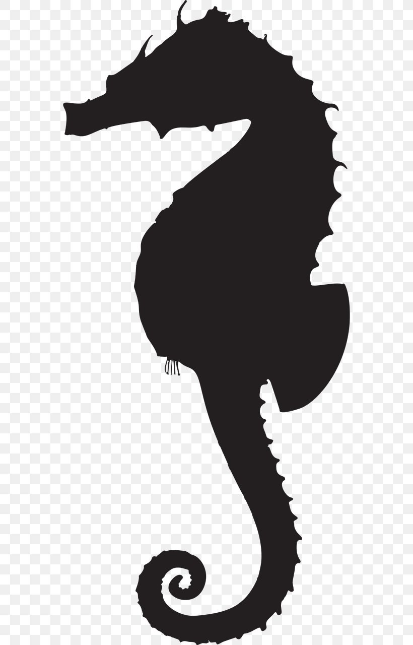 Seahorse Silhouette Clip Art, PNG, 640x1280px, Seahorse, Art, Black And White, Can Stock Photo, Cuteness Download Free