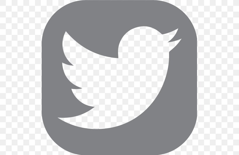 Barbieri Elementary School Social Media Logo, PNG, 533x533px, Social Media, Beak, Bird, Black And White, Crescent Download Free