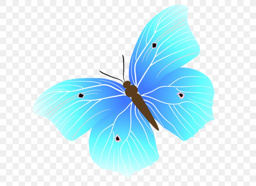 blue butterfly vector png