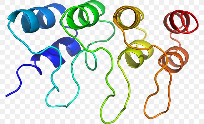 Body Jewellery Line Clip Art, PNG, 777x500px, Body Jewellery, Body Jewelry, Jewellery, Organism Download Free