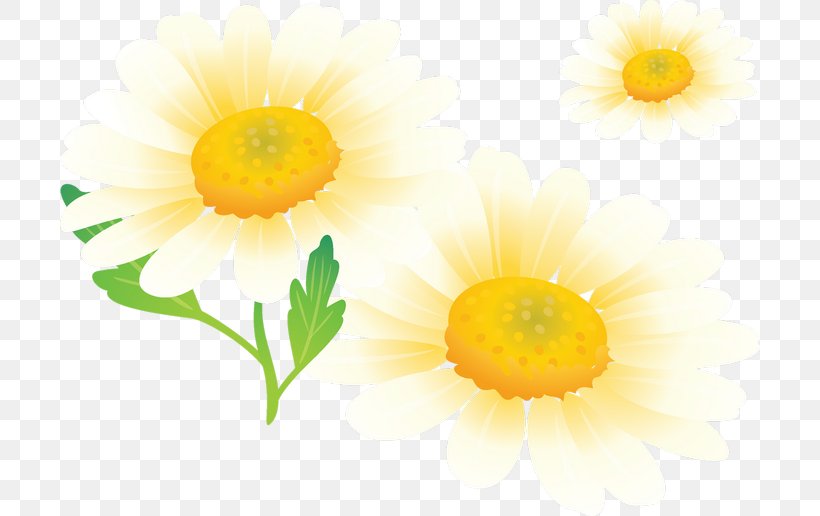 Flower Painting, PNG, 700x516px, Chrysanthemum, Camomile, Chamaemelum Nobile, Chamomile, Chamomiles Download Free
