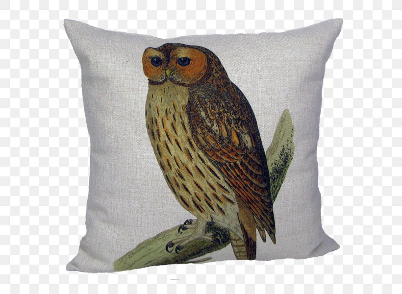 Owl Throw Pillows Cushion Chair, PNG, 600x600px, Owl, Antique, Barn Owl, Beak, Bird Download Free