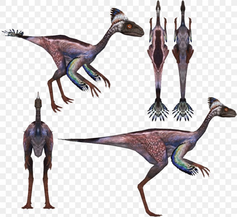 Incisivosaurus Velociraptor Protarchaeopteryx Dinosaur Tarbosaurus, PNG, 987x904px, Incisivosaurus, Basal, Beak, Coelurosauria, Cretaceous Download Free