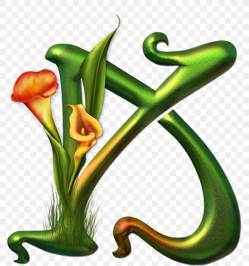 Letter Alphabet La Duchesse MacKenzie Writing, PNG, 773x876px, Letter, Alphabet, Art, Flower, Flowering Plant Download Free
