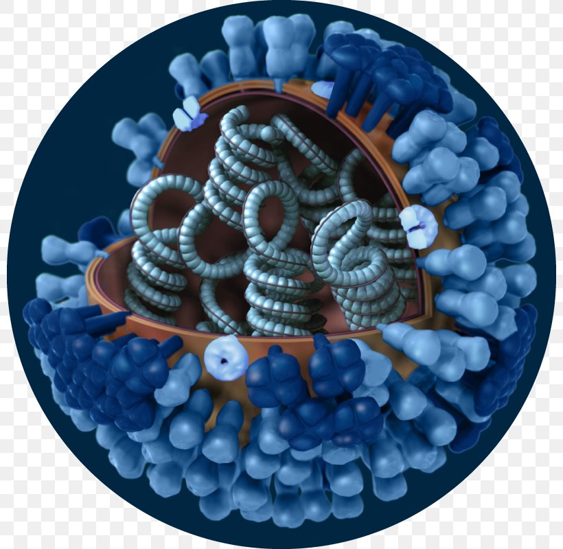 2009 Flu Pandemic Influenza A Virus Subtype H1N1 Influenza A Virus Subtype H3N2 Swine Influenza, PNG, 800x800px, 2009 Flu Pandemic, Avian Influenza, Influenza, Influenza A Virus, Influenza A Virus Subtype H1n1 Download Free