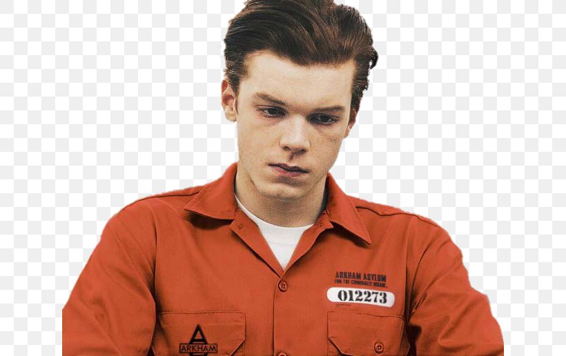 Cameron Monaghan Ian Gallagher Shameless Mickey Milkovich Character, PNG, 640x516px, Cameron Monaghan, Bipolar Disorder, Character, Click, Forehead Download Free