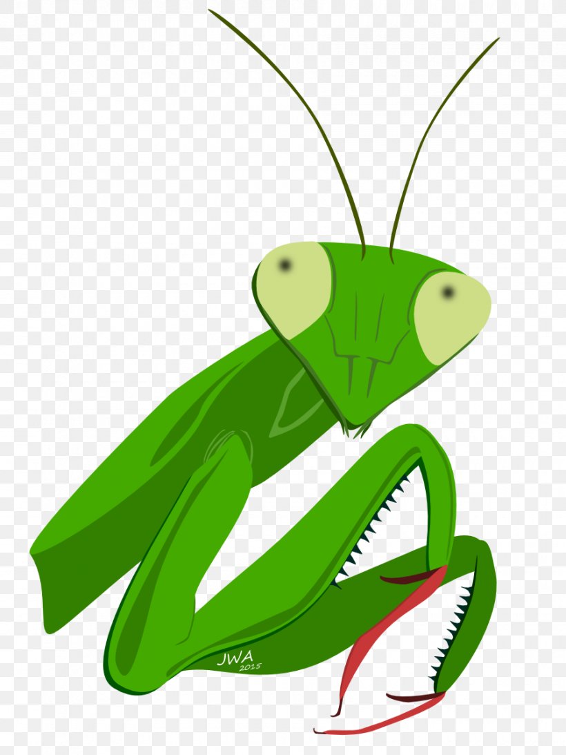 Mantis Insect Cartoon Animal, PNG, 900x1200px, Mantis, Amphibian, Animal, Cartoon, Cricket Like Insect Download Free