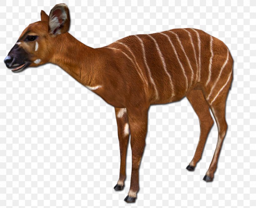 Sable Antelope Impala Zoo Tycoon 2 Animal, PNG, 991x806px, Antelope, Animal, Animal Figure, Bongo, Chevrotain Download Free